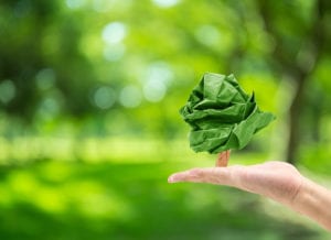 Hand holding up a crumpled piece of green recycled paper